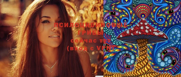 ПСИЛОЦИБИНОВЫЕ ГРИБЫ Вязьма