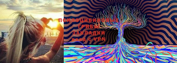 синтетический гашиш Вяземский